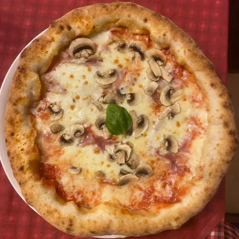 Steinofen-Pizza, frisch gebacken